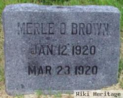 Merle Algerite Brown