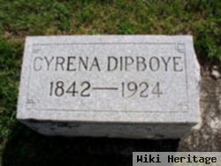 Cyrena Dipboye