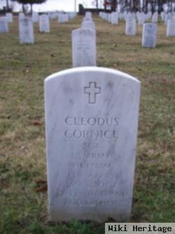 Cleodus Cornice