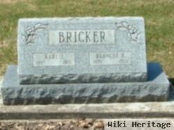 Karl J Bricker