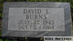 David L. Burns