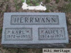 Karl Herrmann