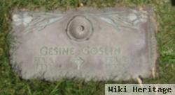 Gesine Sophie Buhrman Goslin