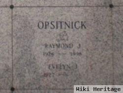 Raymond J. Opsitnick