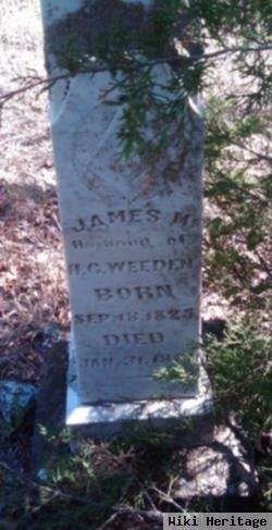 James M Weeden