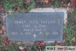 James Doy Taylor