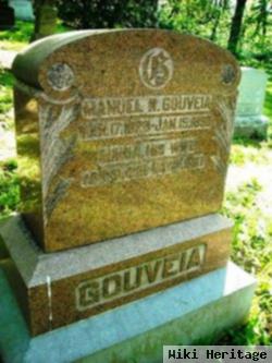 Manuel R Gouveia