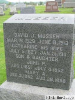 Catharine Rearick Musser