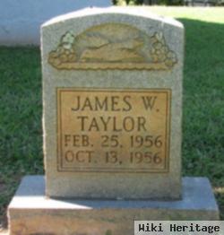 James Willard Taylor