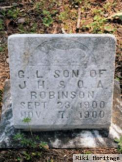 G. L. Robinson