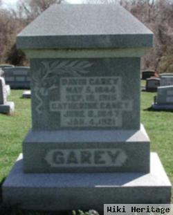 David C Garey