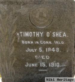 Timothy O'shea