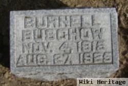 Burnell Theodore Buschow