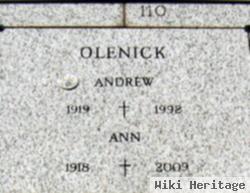 Ann Theresa Ference Olenick