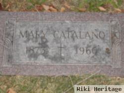 Mary Catalano