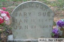 Mary Sue Hancock