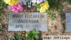 Mary Elizabeth Anderson