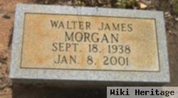 Walter James Morgan
