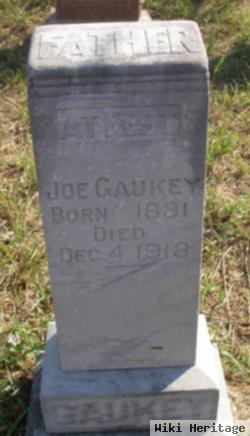 Joe Gaukey