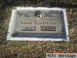 Lillian Ammie "amy" Hicks Clinefelter