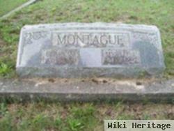 Clark Stanley Montague