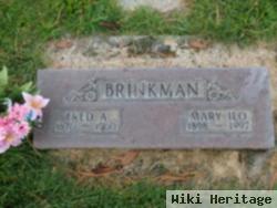 Mary Ilo Miller Brinkman