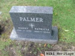 Patricia Agnes Delaney Palmer