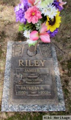 Patricia Ann Koman Riley