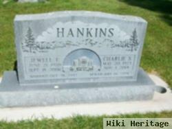 Charlie S. Hankins