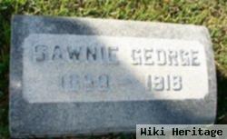 Sawnie Mckinney George