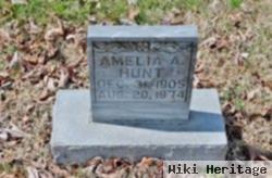 Amelia A Hunt