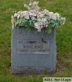 William Eugene Winland