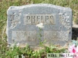 Dana Clark Phelps