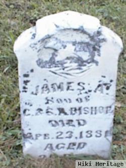 James A. Bishop