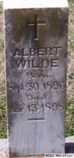 Albert Wilde