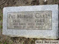 Murl J Carey