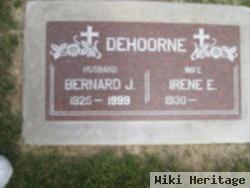 Irene E Dehoorne