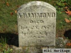 Alanson Hammond