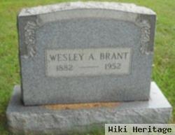 Wesley A Brant