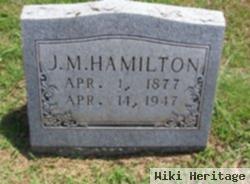 James M. Hamilton