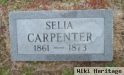 Selia Carpenter