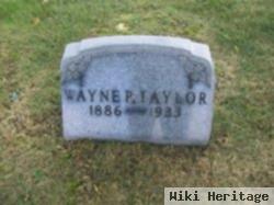 Wayne P Taylor