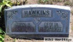 John H. Hawkins