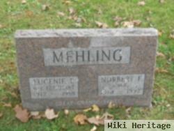 Norbert F Mehling