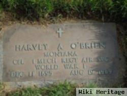 Harvey A O'brien