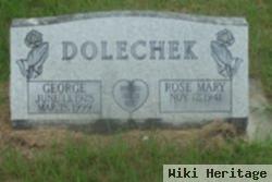 George Dolechek