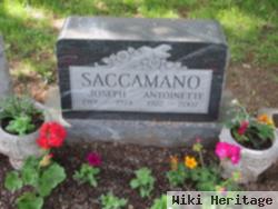 Antoinette Saccamano