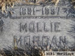 Mollie Morgan