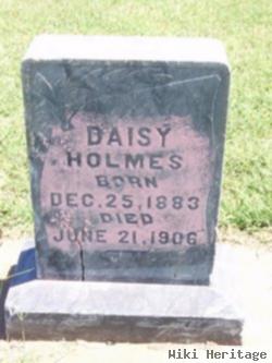 Daisy Ann Holmes