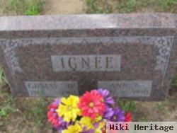 Ann R Ignee